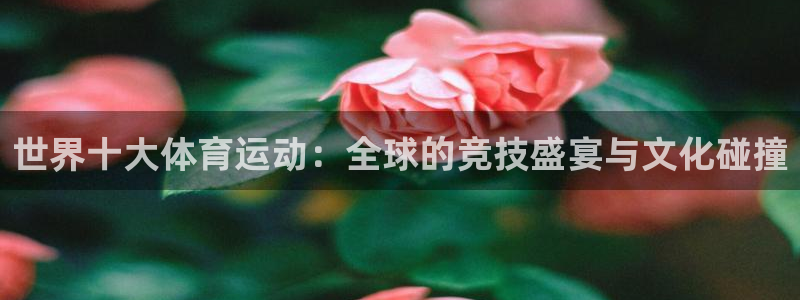 捷报gt