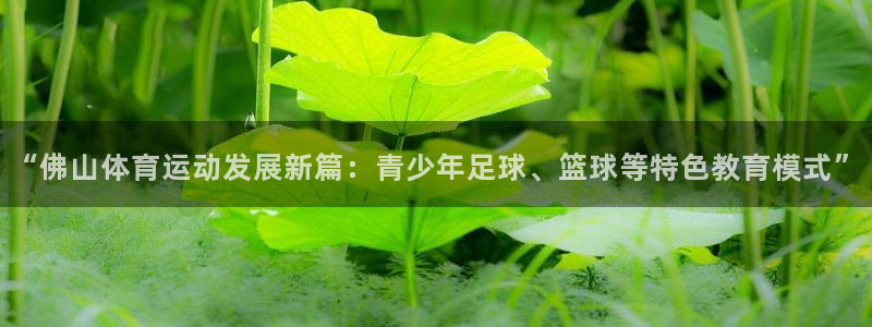 捷报体育官网