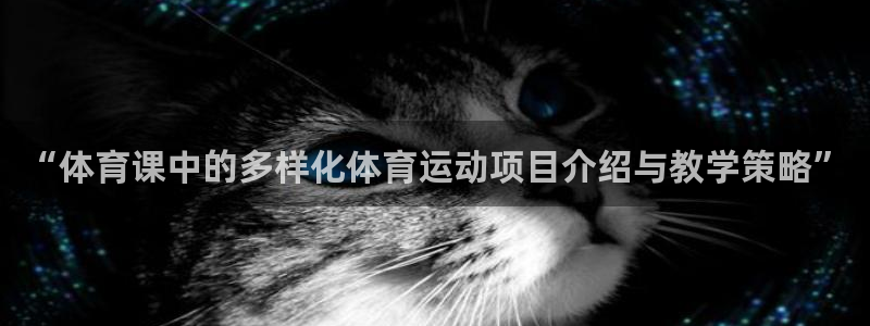 捷报购彩网
