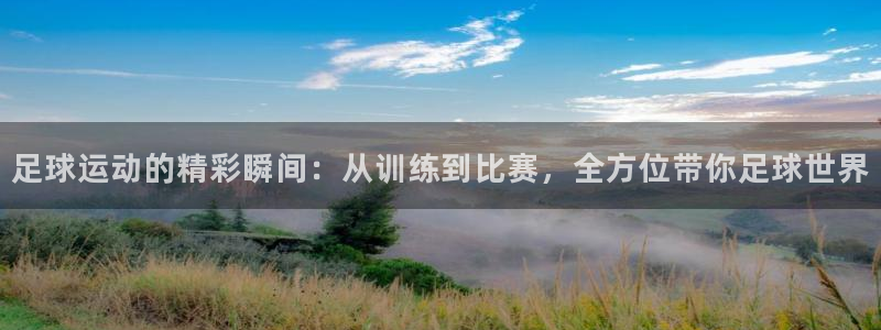 捷报veni vidi vici是谁发出的：足球运动的精彩瞬间：从训练到比赛，全方位带你足球世界