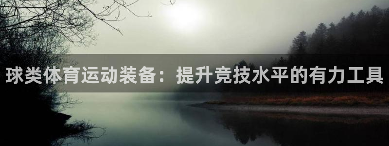 捷报比分足球比分手机网：球类体育运动装备：提升竞技水平的有力工具